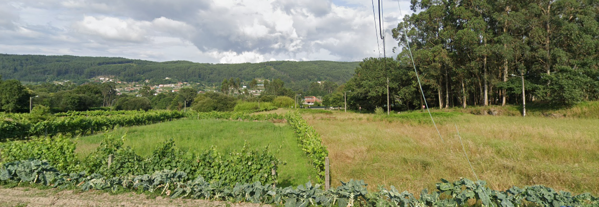 A Arrotea (Tomiño) Exemplo 2